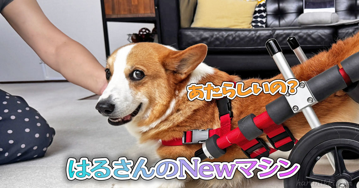 はるさんのNewマシン