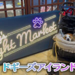 ドギーズアイランド