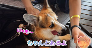 ちゃんとあるよ