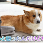 いいと思ったんだけどな・・