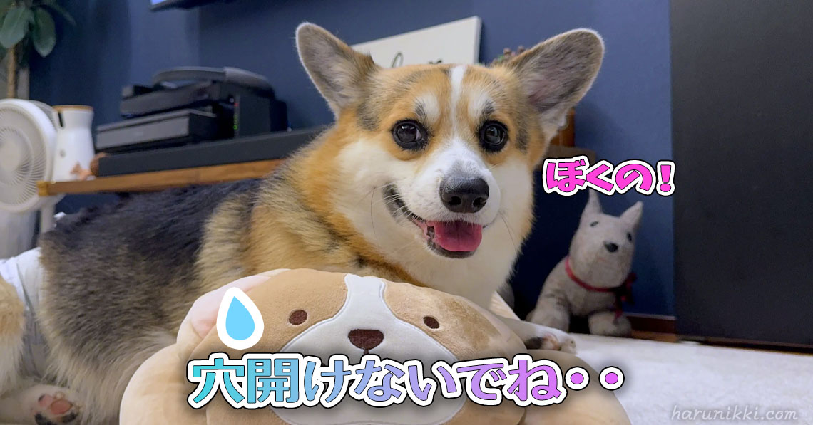 穴開けないでね・・