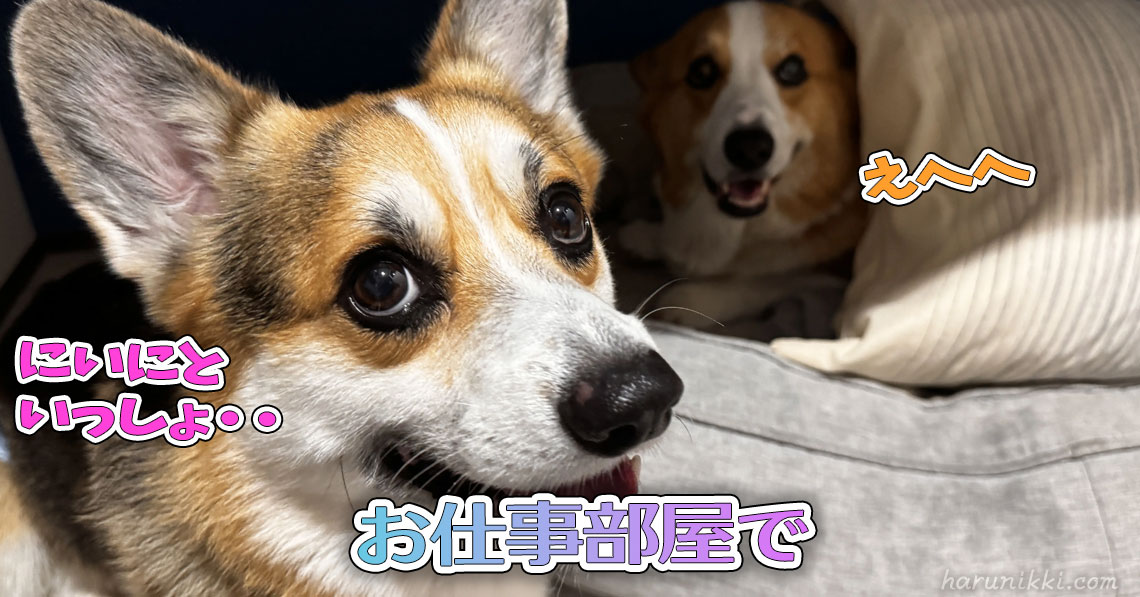 お仕事部屋で