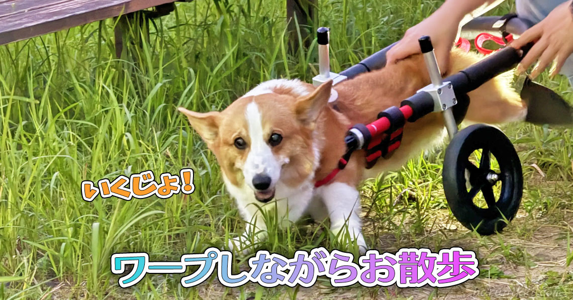 ワープしながらお散歩